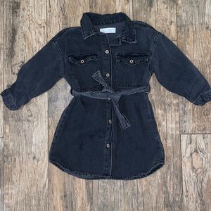 Zara Toddler Denim Dress